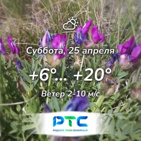 ������ ����, �������!