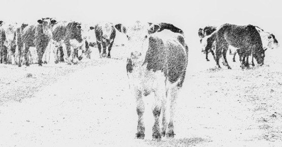 �������-������������. ��������� ������������� ���������� ���� � ������� � �������� ����� ����� � ������� ������