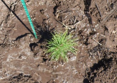 ��� �������������� ���������� �������: ������ ��� ��������