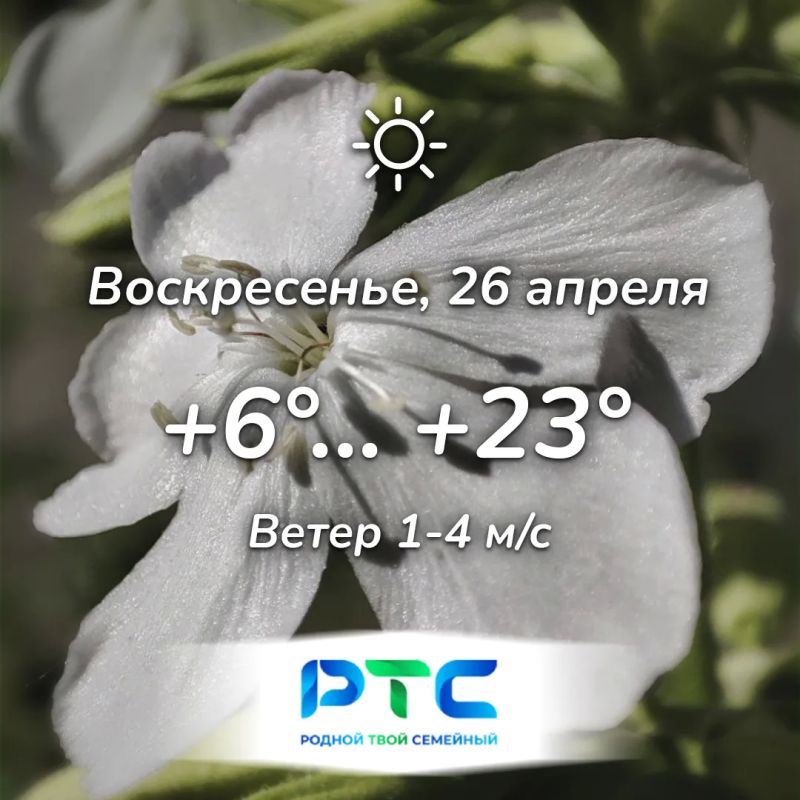 ������ ����, �������!