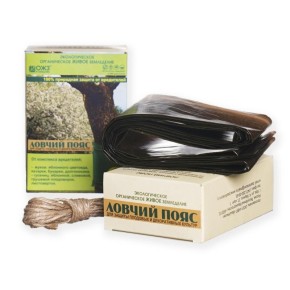 ��� ����������� ������ ���� ��� ������� �����: ��� ������� �������