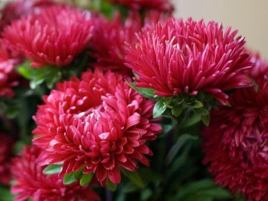 ��� ��������� �������� �����: ������� ������ � �����