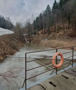 ����������� �. ����������� ��������� ���������� ���������������� � ����� ���������������