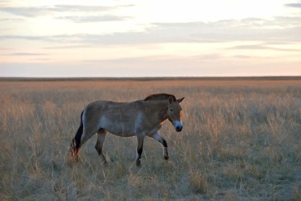 � ��������� ����������� ������� ������ ��������� ������ �������������