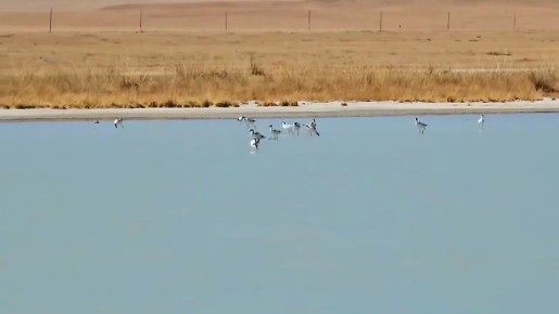 ����� ����-���� ����� �� ������� �������: 58 ����� ������� � ������ ���������� ������ ���� ��������� ������� �� ���������� ����������