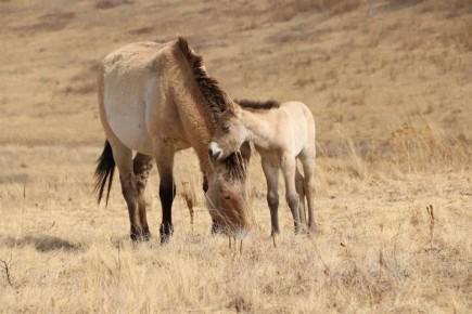 ������ ��������� ������ ������������� �������� �� ���� � ��������� �����������, �������� ���� � ���������������� ���������� ��