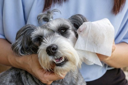 ��� ��������� ������������ ������� �������� ��� �����: �������� ������ � ���������������