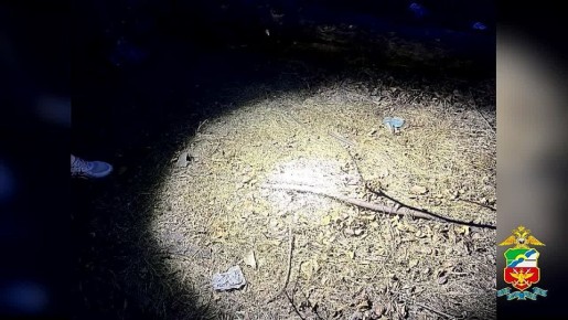 � ������� ������������ ����������� ��������� �������������� � ����� ������� ������