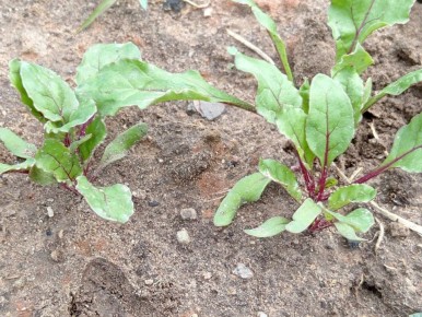 ��� ���������� �������� ����� ��� ������: ������ ��������� ��� ������� �����������