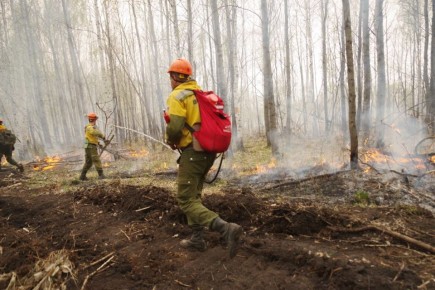 ��� ������ ������ ������ � �������� ����, ��� ������� ���������� 20 ������������ � ����������� ����������� ��������������