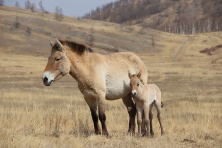 � ������� ������� ������ �������� ������ �������������