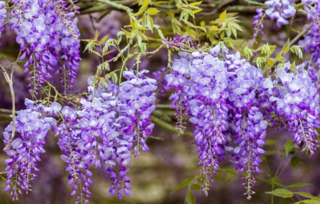 ��� ���������� ��� � ��������� ������: ������� ��������� ����� �� ���������