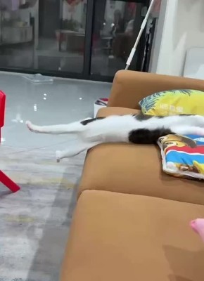 ������ ����, �������!. �������� �������� � ����������� ��������