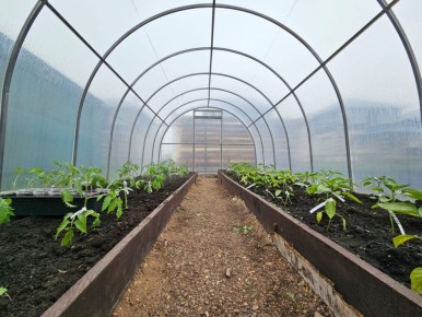 ��� ��������� ��������� ��������: ������� ������� ������