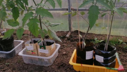 ��� �� ��������� � �������� ������� � �������� �����