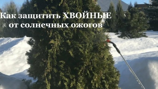 �������� ������ � �������: ��� �������� �� ������ � ��������� ����������