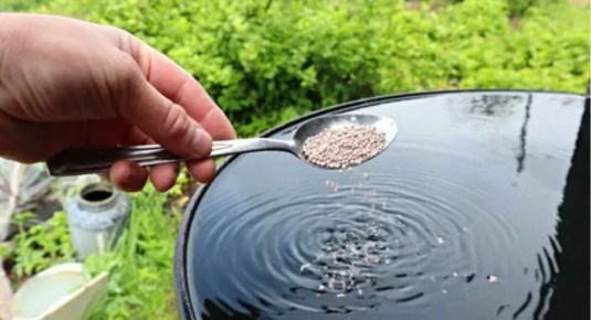 ��� � ����� ��� ���������� ������ � ����