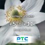 Прогноз погоды