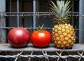 Тот ещё фрукт: саяногорец покусился на продуктовый павильон