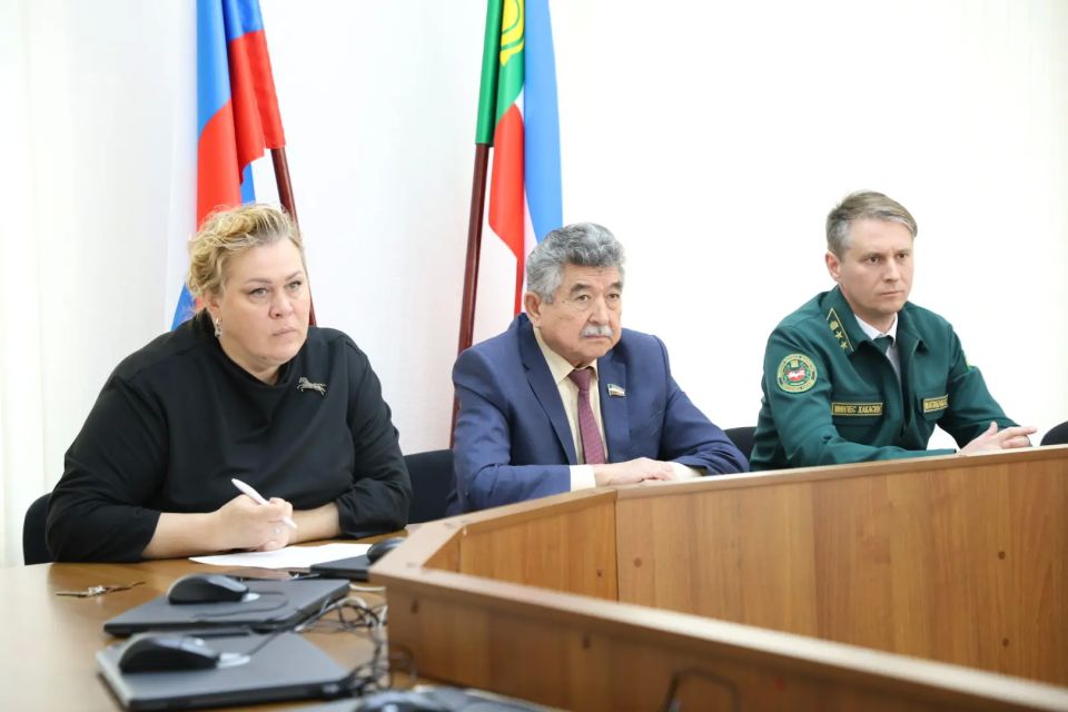 В Хакасии стартовала акция «Кедры Хакасии» В Хакасии стартовала акция «Кедры Хакасии»