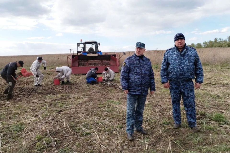 Ход посевной в Хакасии проверил начальник местного УФСИН