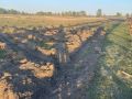 Полиция Хакасии: «Сад памяти» в аале Сапогов повредили овцы