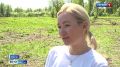 БИЗНЕС-СООБЩЕСТВО ПРАЗДНУЕТ 5-ЛЕТИЕ СВОЕГО ЗЕЛЕНОГО ПРОЕКТА В АБАКАНЕ