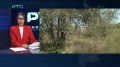 ��� ���� ��� ������ � ������������� ����� ������������ �������� �� ������ ���� � �������