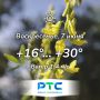 Доброе утро, Хакасия!