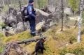 Все-таки криминал? СК сильно ограничил информацию о поисках семьи Усольцевых