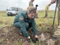 15 тысяч молодых сосен высадили в Ширинском районе — это финальный этап Международной акции «Сад памяти»