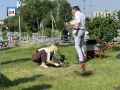 Благоухающий подарок городу: канадские розы высадил Глава Абакана Алексей Лемин совместно с семьей народного мэра Николая Булакина