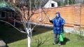 Эффективная обработка деревьев весной: шаги к здоровому саду