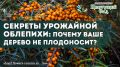 ������� ������������ ������: ������ ���� ������ �� ���� ����?