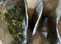 Более 200 граммов марихуаны изъято у жителя Хакасии