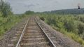 В Ачинске в рамках расследования уголовного дела по факту безвестного исчезновения женщины и ее дочери обнаружено тело ребенка