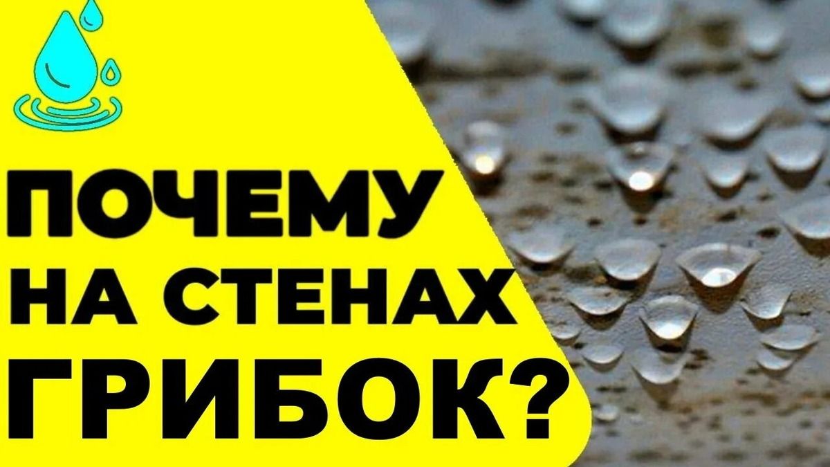 Грибок и плесень в холодильнике: как обнаружить и избавиться