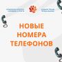 Важная информация: в УКМИС Администрации города Абакана сменились телефонные номера
