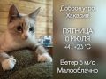 Доброе утро, Хакасия!. В пятницу 10 июля по прогнозу температура воздуха достигнет значений +14 — +23 °С