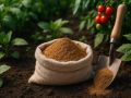 Табачная пыль: секретное оружие садоводов в борьбе с вредителями