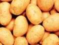 В поисках идеального хранения: мыть ли картошку перед закладкой?