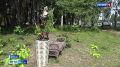 В Парке культуры Абакана – новая фотозона