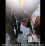 ��������� ��������� ��������� �������� ��������: ��������� ���������� ����� ��������� � �������