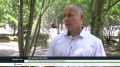 В соседних регионах вспышка опасной болезни скота: фермеров Хакасии просят вакцинировать животных