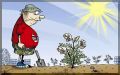 Наша дача: основные покупки для успешного старта садового сезона