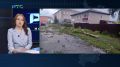 "Пора спилить опасные деревья": сильный ветер в Таштыпе повалил тополя и сосны на центральной аллее