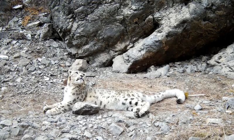Романтическая драма разворачивается в Саяно-Шушенском заповеднике Романтическая драма разворачивается в Саяно-Шушенском заповеднике
