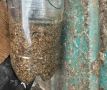 Мужчина ответит за хранение почти килограмма марихуаны в суде