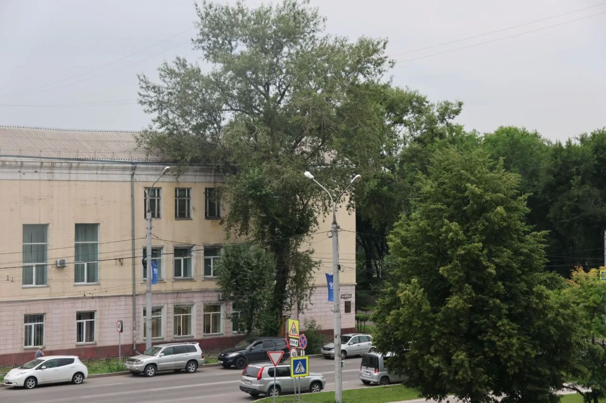 Внимание автолюбители!. 25 июля в Абакане с 11:00 до 15:00 перекроют движение на улице Щетинкина 13, из-за удаления аварийных деревьев