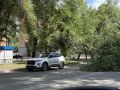 В Абакане по улице Щетинкина сломано дерево